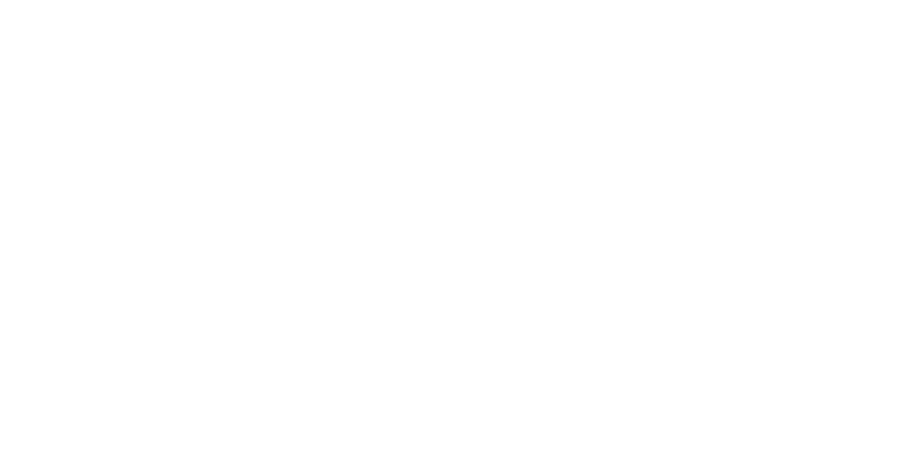 Master Trainers